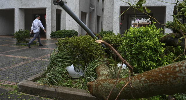 Hàng chục nghìn người mất điện sau khi bão Haikui tấn công Đài Loan (Trung Quốc) - Ảnh 3.