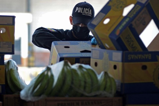 Phát hiện hàng loạt vụ vận chuyển cocaine ngụy trang trong container chuối từ Ecuador - Ảnh 1.
