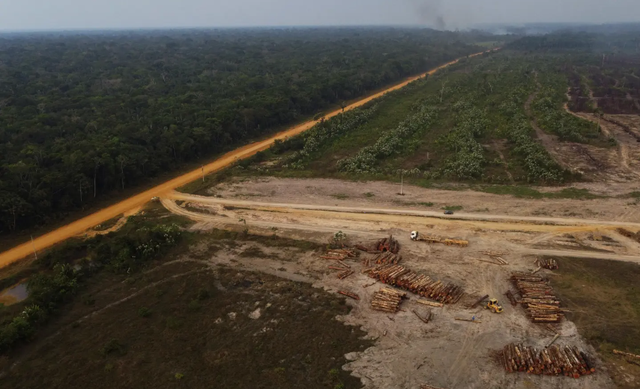 Nạn phá rừng Amazon ở Brazil giảm 66% trong tháng 8 - Ảnh 1.