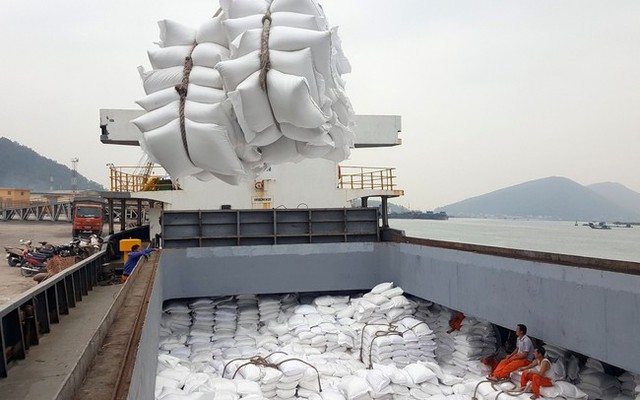 Xuất khẩu gạo có thể mang về hơn 5 tỉ USD - Ảnh 1.