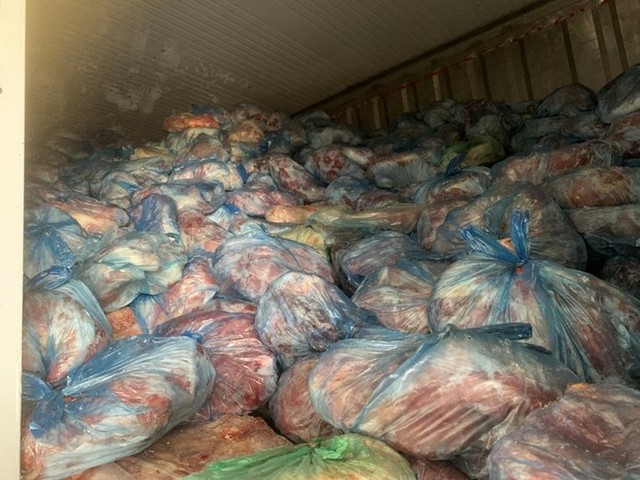 Hà Nội: Buộc cơ sở vi phạm tiêu huỷ 40 tấn thịt lợn nhiễm virus tả lợn châu Phi và dịch bệnh tai xanh - Ảnh 1.