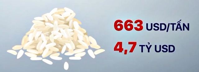 Nông sản Việt Nam xuất khẩu tăng cả về giá và số lượng - Ảnh 1.