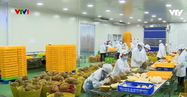 Nông sản Việt Nam phổ biến trên kệ hàng quốc tế - Ảnh 4.