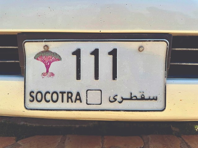 Socotra: Hòn đảo của những điều thú vị - Ảnh 6.