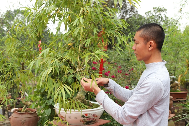 Chàng nghệ nhân bonsai 9x với khát khao lan tỏa giá trị cây tre Việt Nam - Ảnh 5.