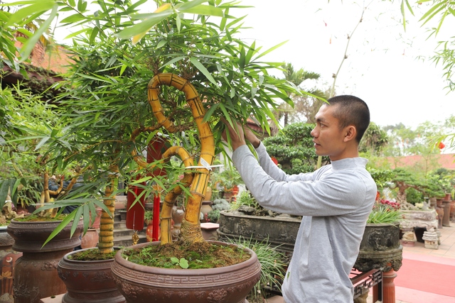 Chàng nghệ nhân bonsai 9x với khát khao lan tỏa giá trị cây tre Việt Nam - Ảnh 3.