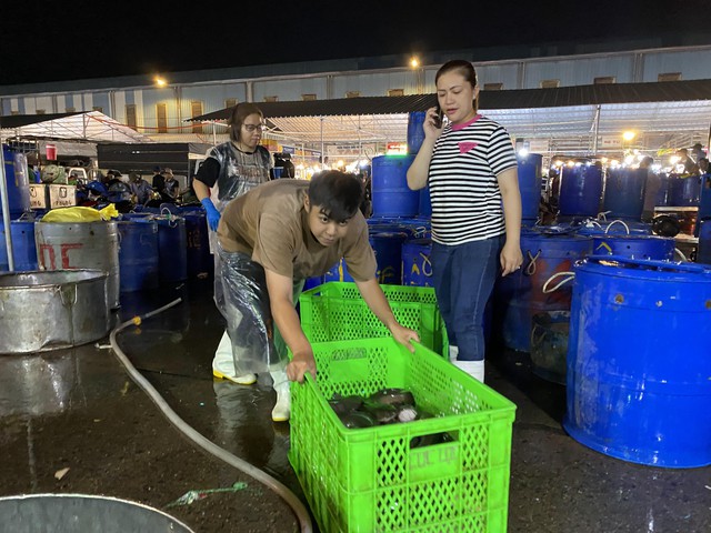 Chợ cá lóc ở TP Hồ Chí Minh nhộn nhịp ngày vía Thần Tài - Ảnh 2.
