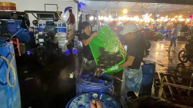 Chợ cá lóc ở TP Hồ Chí Minh nhộn nhịp ngày vía Thần Tài - Ảnh 9.