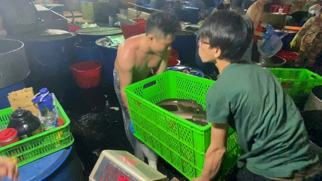 Chợ cá lóc ở TP Hồ Chí Minh nhộn nhịp ngày vía Thần Tài - Ảnh 10.