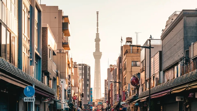 Du khách cần biết gì về visa lưu trú dài hạn điện tử của Nhật Bản? - Ảnh 1.