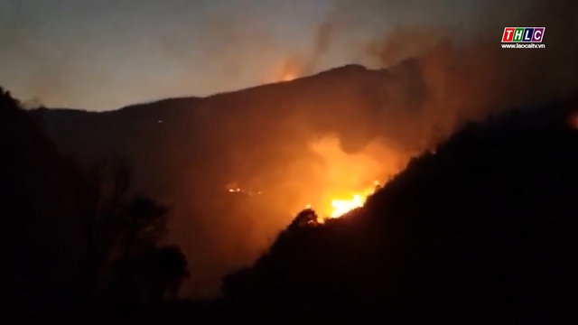 Cháy rừng tại Sa Pa, hơn 300 người được huy động dập lửa - Ảnh 1.