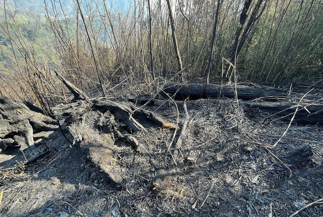 Cơ bản khống chế được các điểm cháy rừng trên Vườn Quốc gia Hoàng Liên - Ảnh 3.