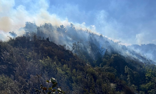 Cơ bản khống chế được các điểm cháy rừng trên Vườn Quốc gia Hoàng Liên - Ảnh 2.