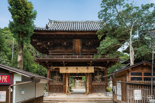 Hành trình tìm lại chính mình qua Shikoku Henro, chuyến hành hương di sản của Nhật Bản - Ảnh 4.
