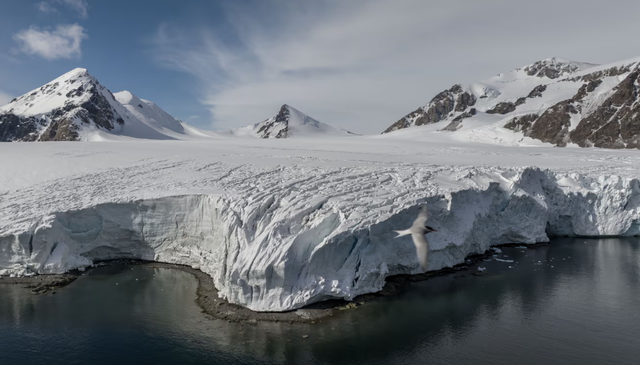 Băng biển ở Nam Cực xuống mức thấp đáng báo động trong năm thứ 3 liên tiếp - Ảnh 1.