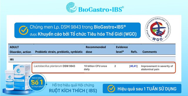 Chủng men vi sinh BioGastro•IBS® được Tổ chức tiêu hóa Thế giới (WGO) đề xuất - Ảnh 1.