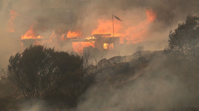 Cháy rừng nghiêm trọng khiến 51 người tử vong, đe dọa các khu đô thị ở Chile - Ảnh 1.