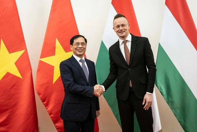 
Minister of Foreign Affairs Bui Thanh Son and Hungarian Minister of Foreign Affairs and Trade Péter Szijjártó. (Photo: Ministry of Foreign Affairs)
