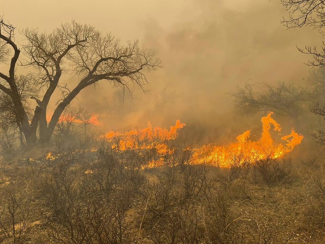 Vụ cháy rừng Smokehouse Creek ở Texas nghiêm trọng nhất trong lịch sử nước Mỹ - Ảnh 1.