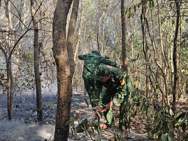Bà Rịa - Vũng Tàu: Khống chế kịp thời vụ cháy rừng cạnh khu bảo tồn Bình Châu - Phước Bữu - Ảnh 1.