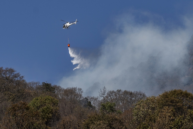 Cháy rừng lan rộng ở Mexico, ít nhất 4 người thiệt mạng  - Ảnh 3.