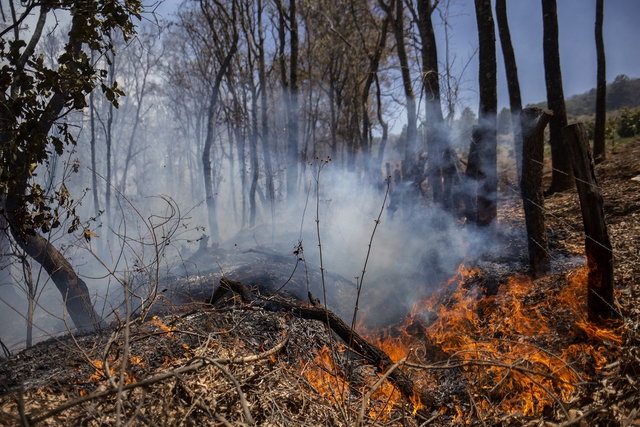 Cháy rừng lan rộng ở Mexico, ít nhất 4 người thiệt mạng  - Ảnh 1.