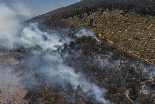 Cháy rừng lan rộng ở Mexico, ít nhất 4 người thiệt mạng  - Ảnh 2.