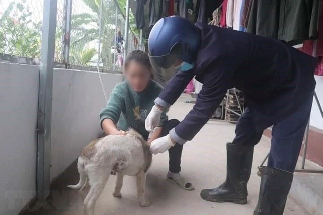 Chó dại tấn công 13 học sinh và 1 thầy giáo tại Quảng Ninh - Ảnh 1.