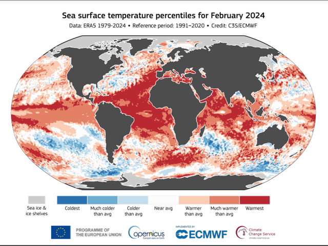 Nhiệt độ các đại dương trên thế giới tăng lên mức cao nhất trong lịch sử - Ảnh 2.