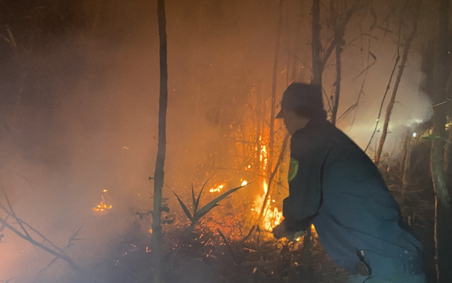 Hàng trăm người trắng đêm chữa cháy rừng tại Cà Mau - Ảnh 2.