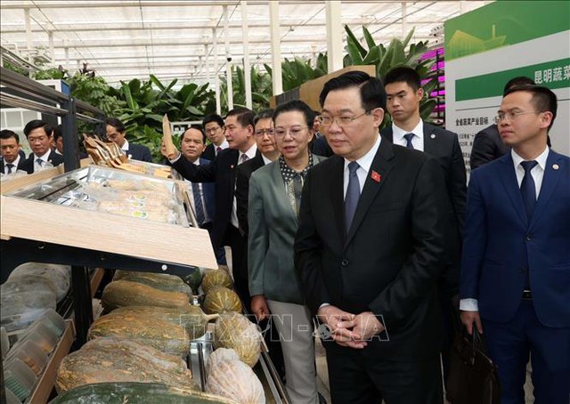 Chủ tịch Quốc hội Vương Đình Huệ thăm một số mô hình kinh tế tiêu biểu của tỉnh Vân Nam, Trung Quốc - Ảnh 2.