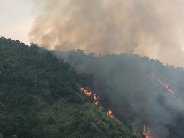 Khẩn trương dập tắt đám cháy rừng tại Nậm Nhùn (Lai Châu) - Ảnh 1.