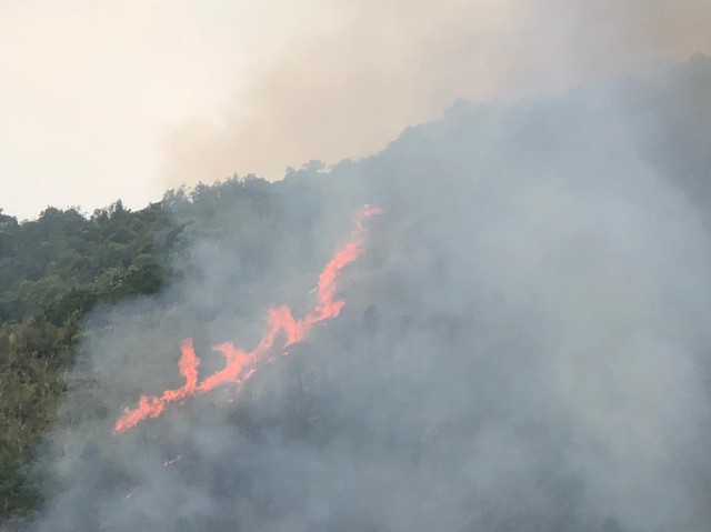 Khẩn trương dập tắt đám cháy rừng tại Nậm Nhùn (Lai Châu) - Ảnh 2.