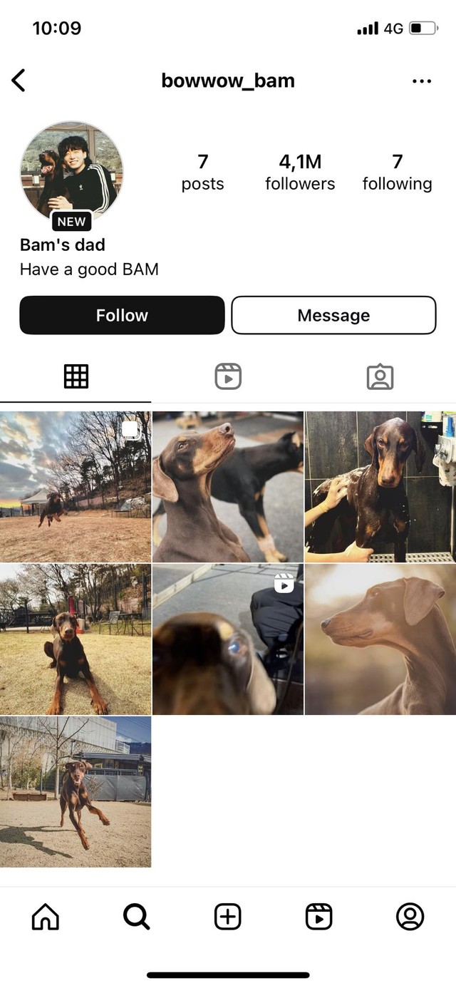 Jungkook (BTS) tạo tài khoản Instagram cho thú cưng, 3 triệu người theo dõi sau 1 ngày - Ảnh 2.