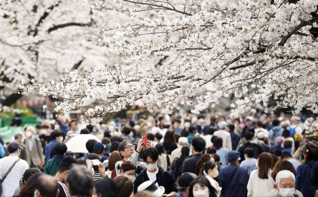 Lượng du khách nước ngoài đến Nhật Bản trong tháng 3 đạt mức cao kỷ lục - Ảnh 1.