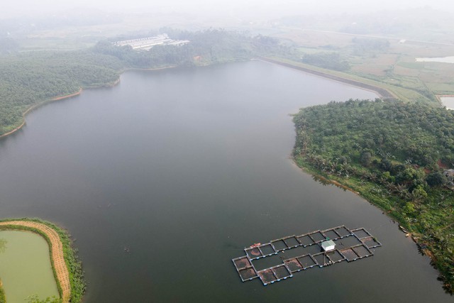 Trại gà “khủng” sai phép gây ô nhiễm môi trường ở Phú Thọ - Ảnh 3.