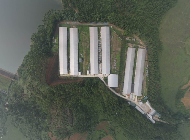 Trại gà “khủng” sai phép gây ô nhiễm môi trường ở Phú Thọ - Ảnh 2.