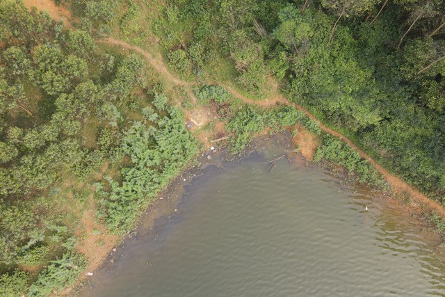 Trại gà “khủng” sai phép gây ô nhiễm môi trường ở Phú Thọ - Ảnh 4.