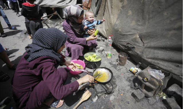 Nguy cơ nạn đói rất cao ở Gaza, đặc biệt là tại miền Bắc - Ảnh 1.