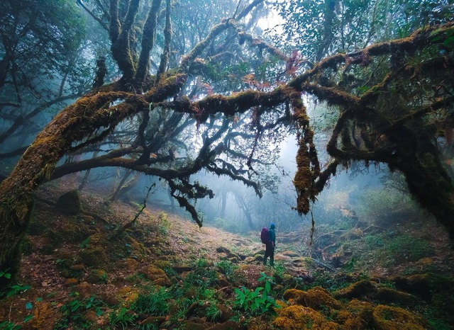 Chinh phục Sa Mu - đỉnh núi có rừng rêu ma mị hot nhất Tây Bắc - Ảnh 1.