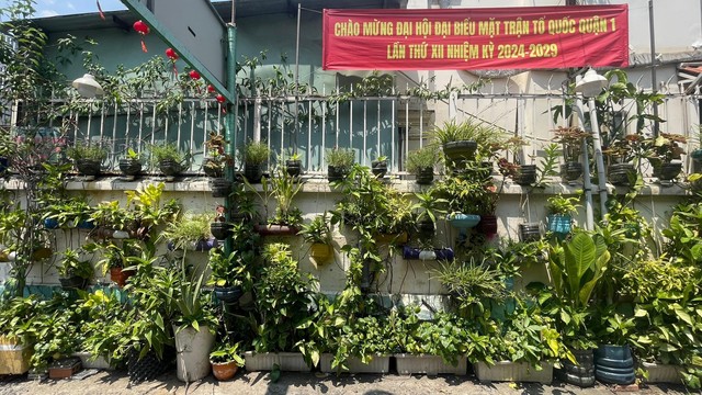 TP Hồ Chí Minh: Góc phố xanh từ rác thải tái chế - Ảnh 1.