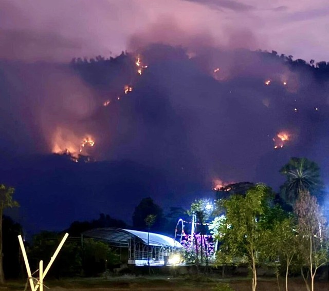 An Giang: Khẩn trương chữa cháy rừng trên khu vực xã Núi Tô - Ảnh 1.