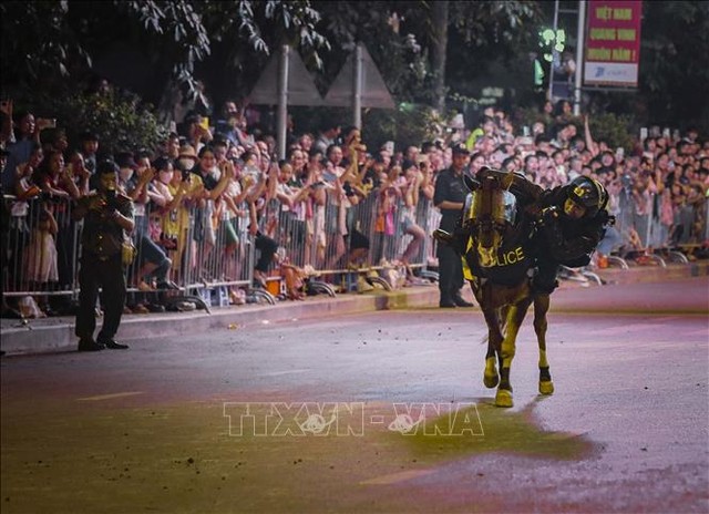 Cảnh sát cơ động kỵ binh biểu diễn trên đường phố Điện Biên - Ảnh 3.