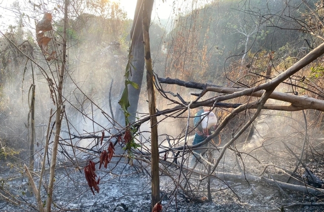 Huy động hơn 500 người chữa cháy rừng trên núi Cô Tô - Ảnh 1.