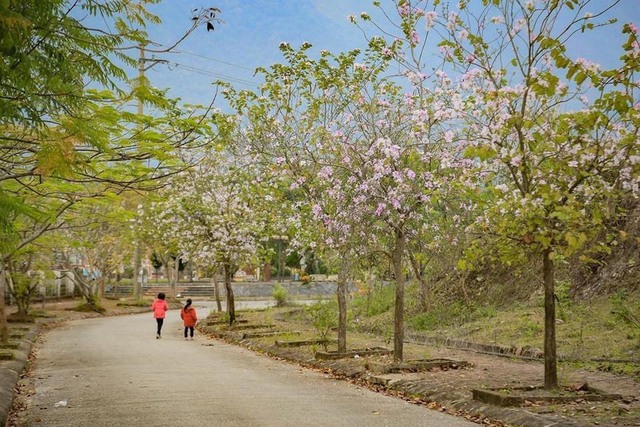 Năm du lịch quốc gia - Điện Biên 2024: Sức hút miền hoa ban - Ảnh 1.