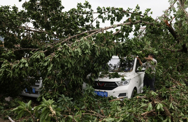 Những hình ảnh về thiệt hại do trận lốc xoáy kinh hoàng quét qua Quảng Châu (Trung Quốc) - Ảnh 7.