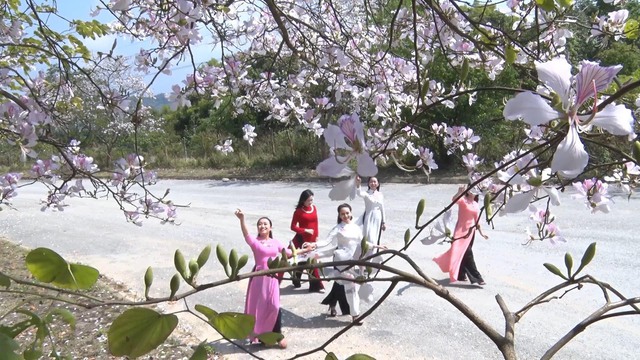 Năm du lịch quốc gia - Điện Biên 2024: Sức hút miền hoa ban - Ảnh 3.