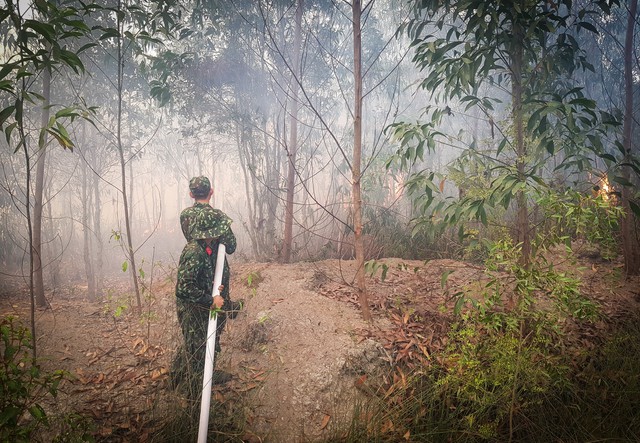 Kiên Giang: Gần 550 cán bộ, chiến sĩ tham gia chữa cháy rừng - Ảnh 2.