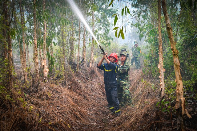 Kiên Giang: Gần 550 cán bộ, chiến sĩ tham gia chữa cháy rừng - Ảnh 1.