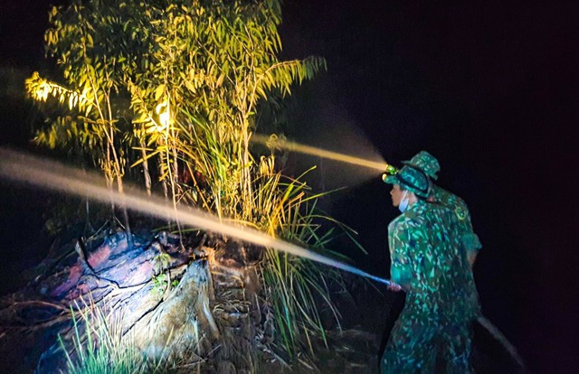 Kiên Giang: Gần 550 cán bộ, chiến sĩ tham gia chữa cháy rừng - Ảnh 3.
